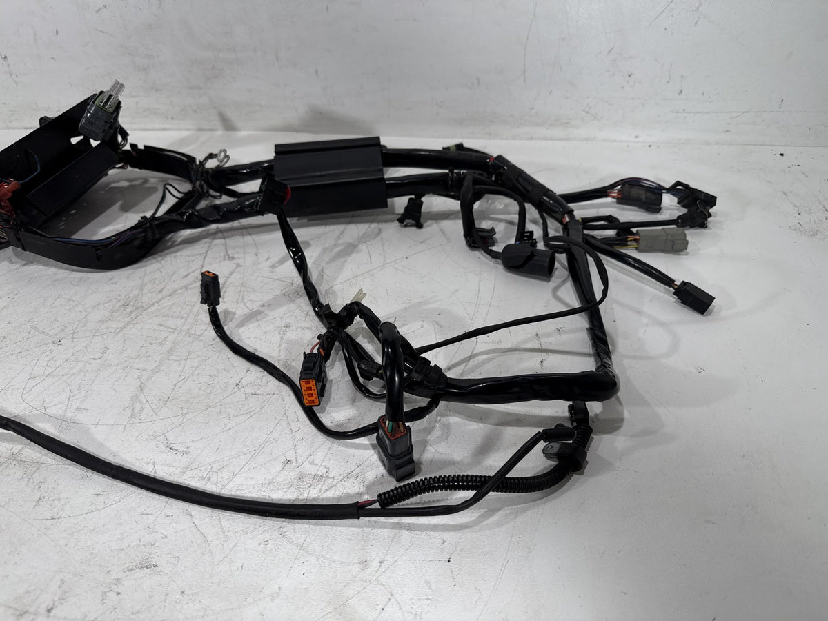 2003 Harley Softail Deuce FXSTDI OEM Main Wire Wiring Harness Loom EFI