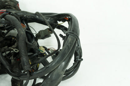 1999 - 2006 Harley-Davidson Touring Electra Glide Ultra Main Wire Wiring Harness Loom 70985-00