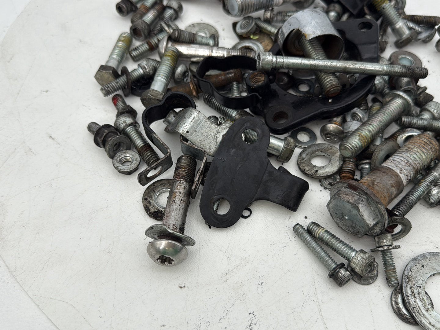 2004 - 2013 Harley-Davidson Sportster 1200 Custom Hardware Bolts Nuts & Brackets