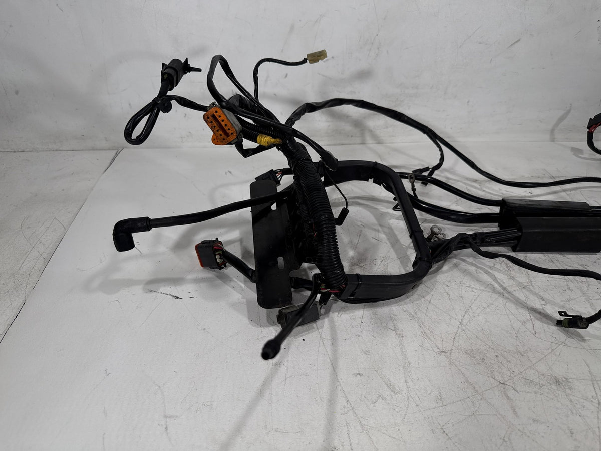 02 Harley Heritage Softail Classic FLSTC OEM Main Wire Wiring Harness Loom CARB
