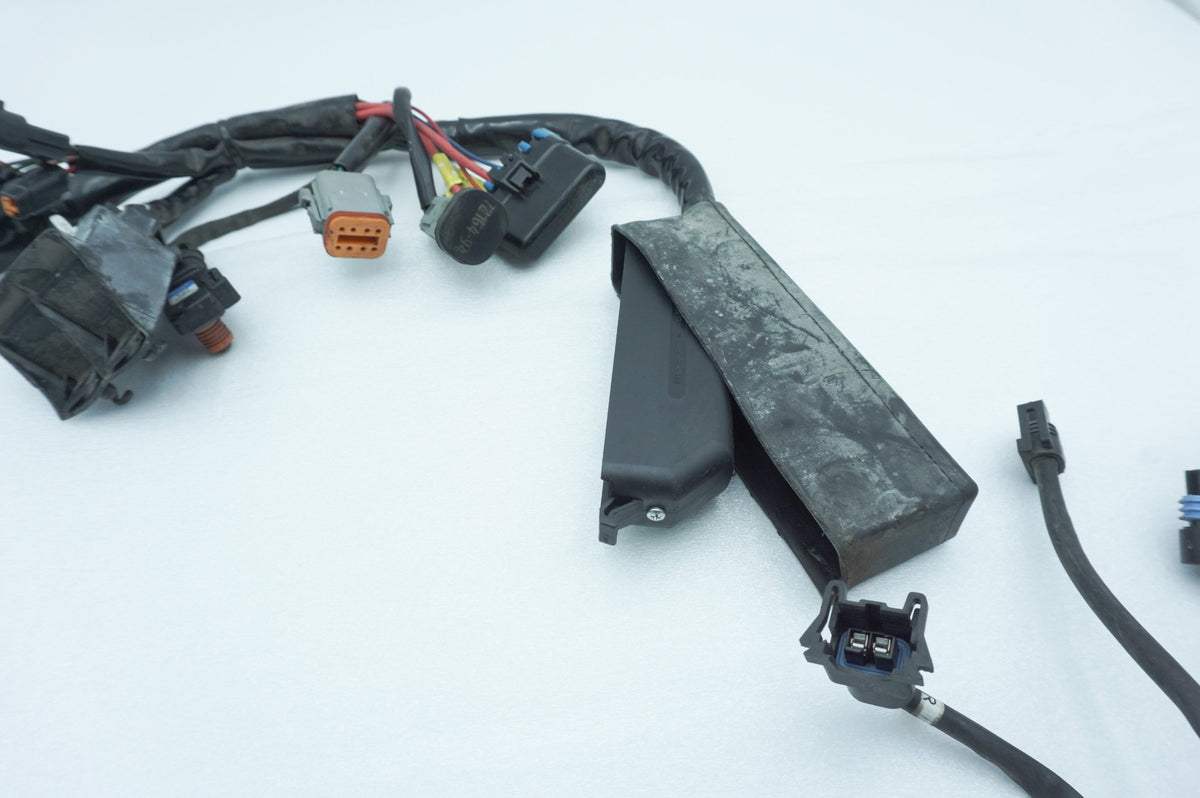 Wire Harness Loom Plug In Connector, 2001, Harley-Davidson, Touring, Electra Ultra, FLHTCUI