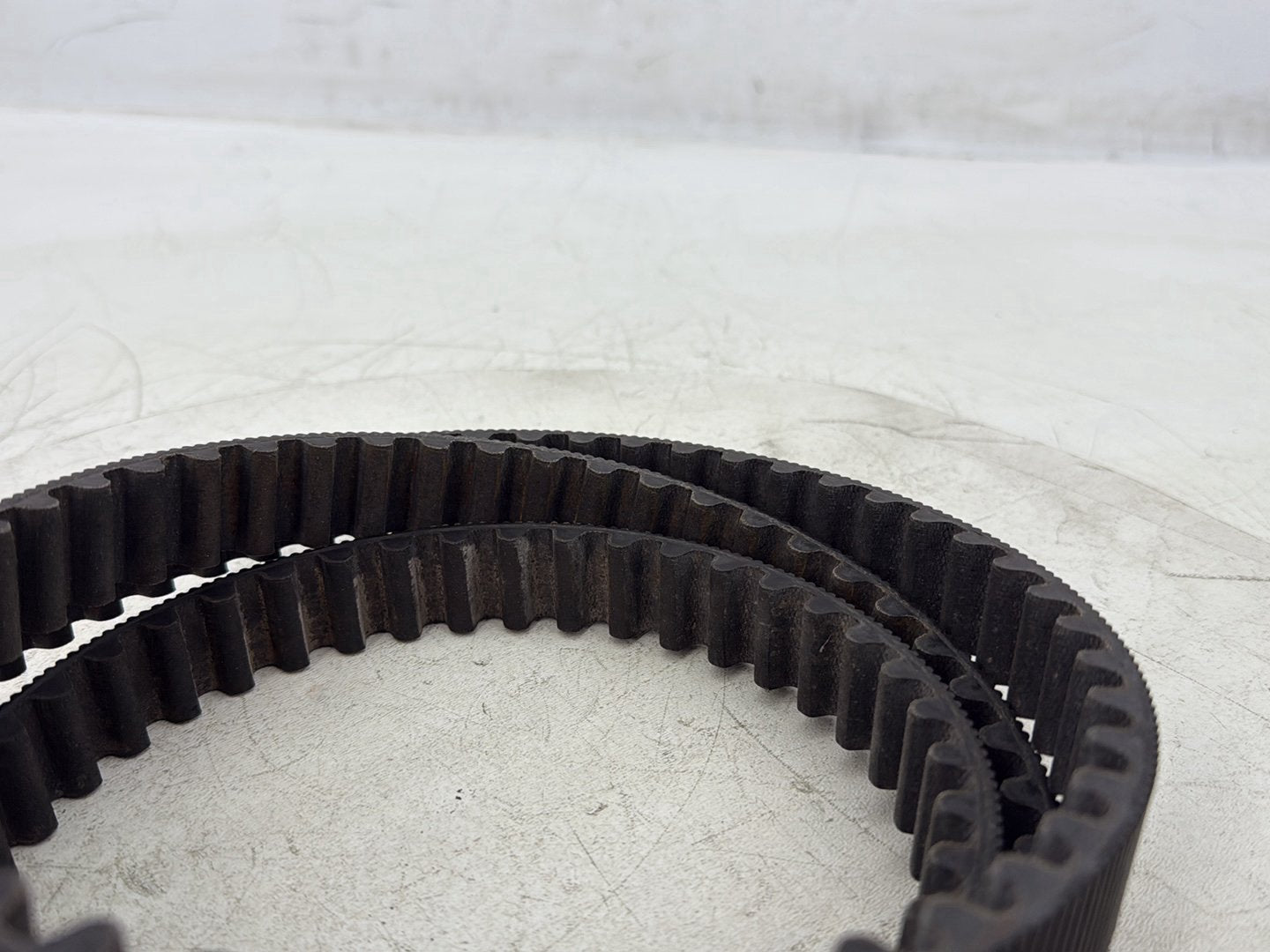 2015 Harley Dyna Low Rider FXDL OEM Rear Drive Belt