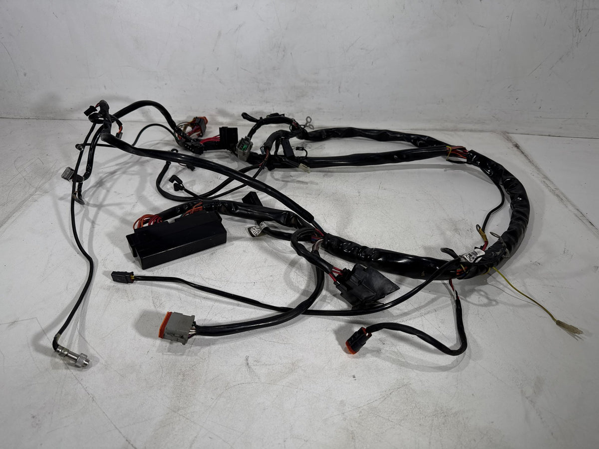 2001 Harley Electra Glide Touring Classic OEM Main Wire Wiring Harness Loom