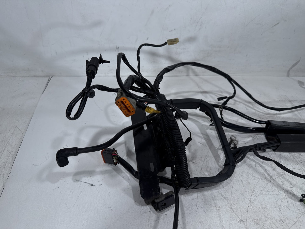 02 Harley Heritage Softail Classic FLSTC OEM Main Wire Wiring Harness Loom CARB