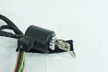 2004 - 2013 Harley-Davidson Sportster Low Main Wire Wiring Harness Loom 69200317