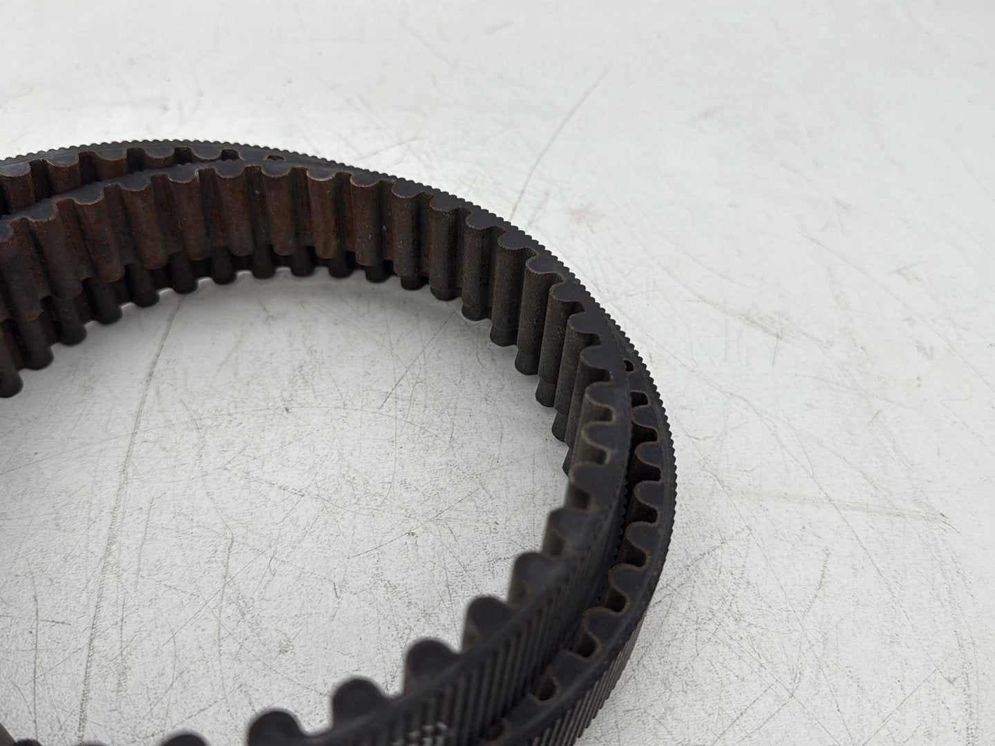 2005 Harley Dyna FXDWG Wide Glide OEM Rear Drive Belt