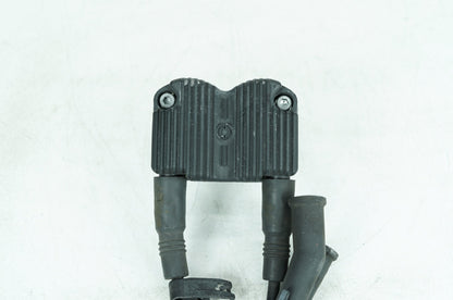1999 - 2006 Harley-Davidson Touring Electra Glide Classic Ignition Coil Spark Plugs Cable 31743-01