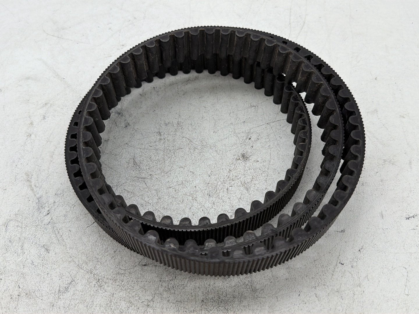 2006 Harley Sportster 1200 Custom XL1200C OEM Rear Drive Belt