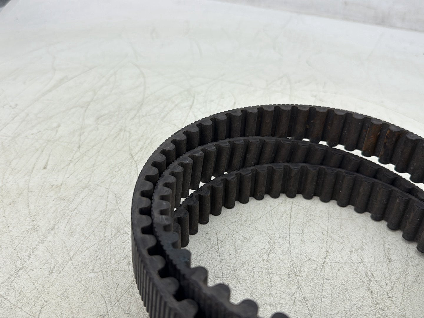 2004 Harley Dyna Super Glide FXDI OEM Rear Drive Belt
