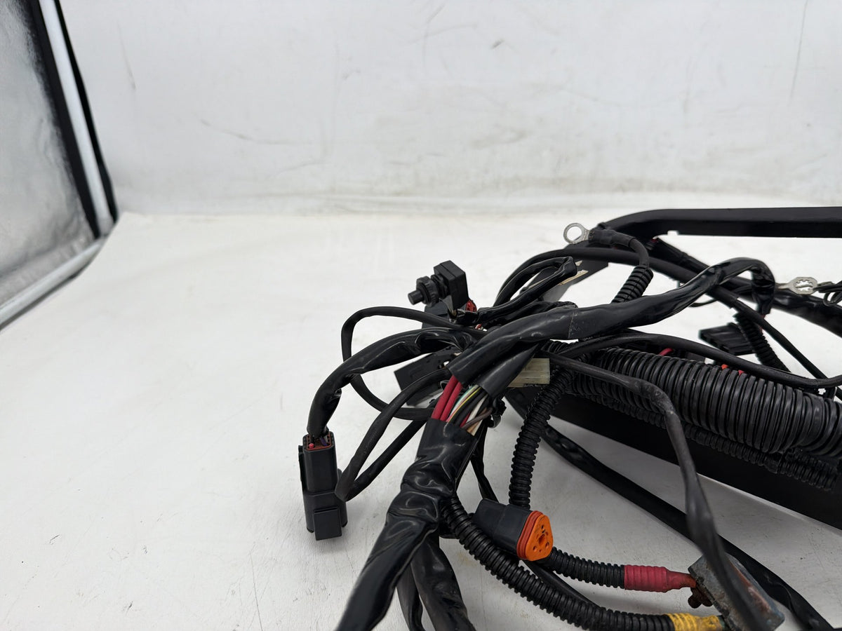 2001 Harley Softail Deuce FXSTD OEM Main Wire Wiring Harness Loom CARB