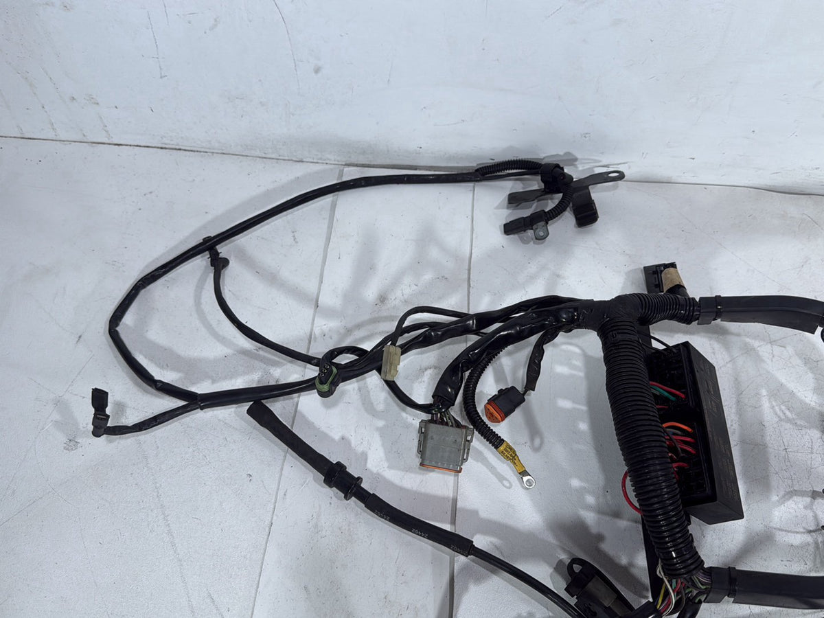 2005 Harley Softail Fat Boy FLSTF OEM Main Wire Wiring Harness Loom CARB