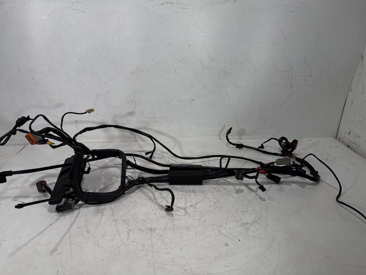 02 Harley Heritage Softail Classic FLSTC OEM Main Wire Wiring Harness Loom CARB