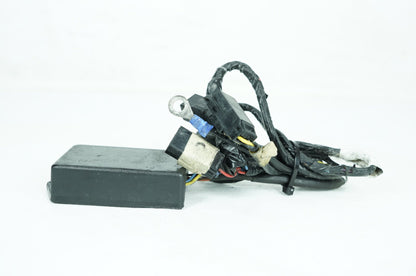2009 - 2016 Harley-Davidson Touring Street Glide Security Alarm Control Module Siren CRACKED