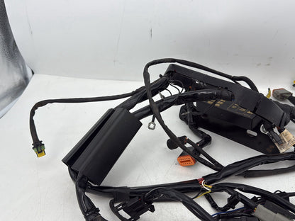 1999 - 2006 Harley-Davidson Softail Heritage Main Wire Wiring Harness Loom 70216-06