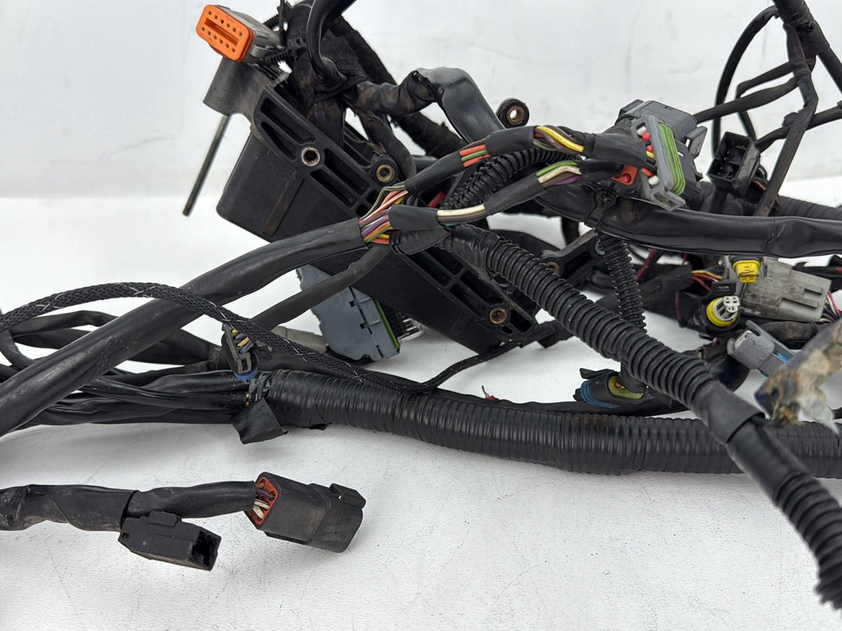 06 Harley Dyna FXDWGI Wide Glide OEM Main Wire Wiring Harness Loom EFI 69603-06