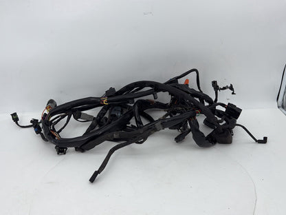 1999 - 2006 Harley-Davidson Dyna Low Rider Main Wire Wiring Harness Loom 69602-04A
