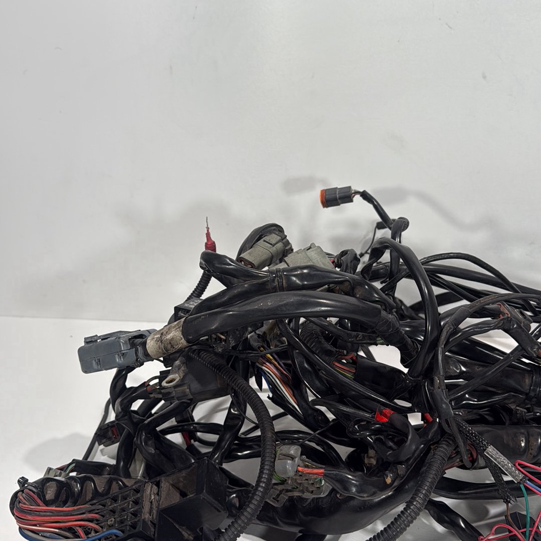 1999 - 2006 Harley-Davidson Touring Electra Glide Ultra Main Wire Wiring Harness Loom 70985-05