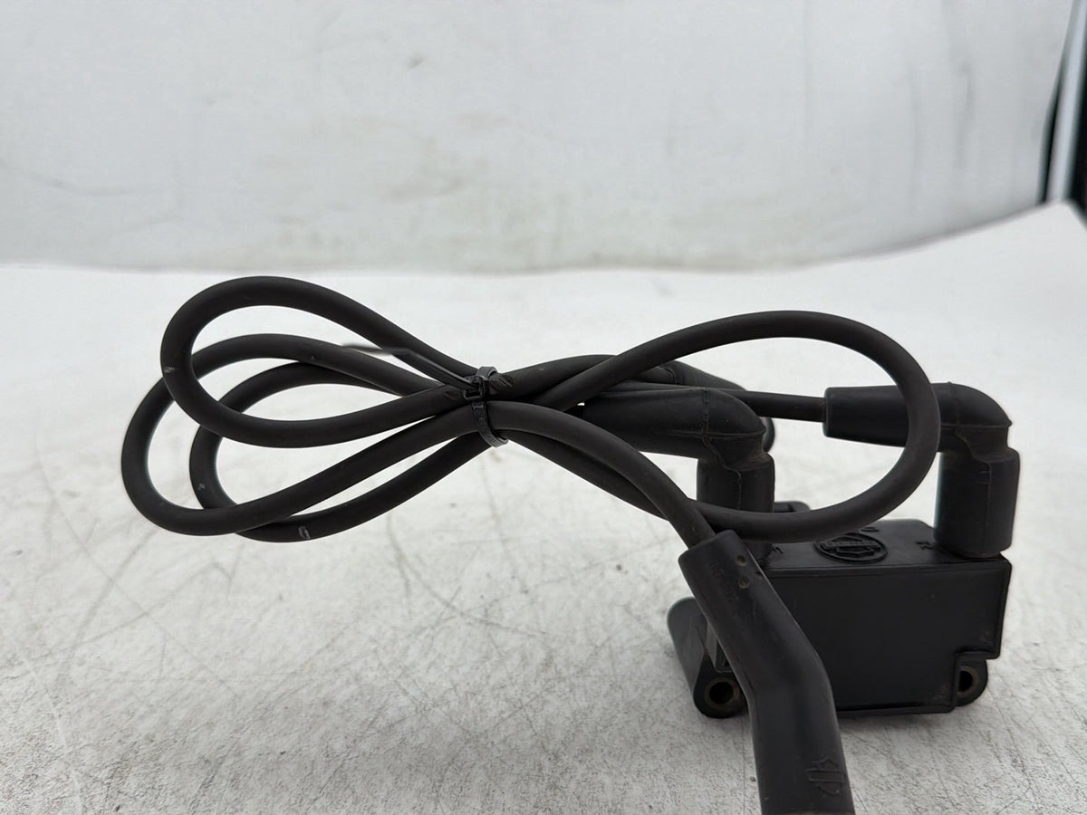 09 Harley Electra Glide Touring Ultra FLHTCU OEM Ignition Coil Spark Plugs Cable