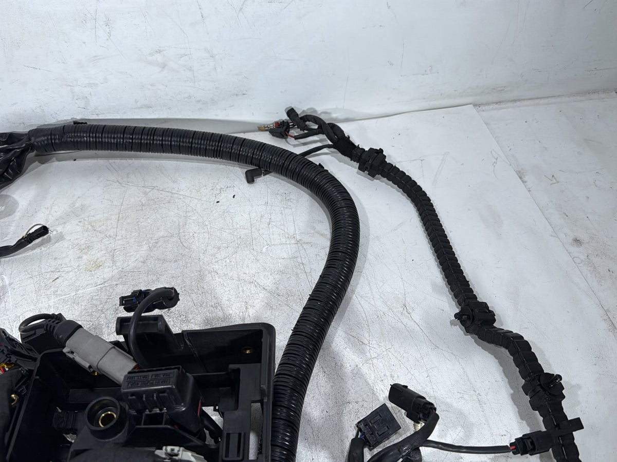 2014 Harley Dyna Low Rider FXDL OEM Main Wire Wiring Harness Loom NON-abs