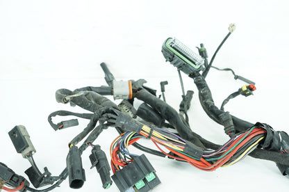 Harley-Davidson Misc  Main Wire Wiring Harness Loom