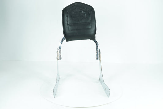2013 - 2022 Harley-Davidson Sportster Custom Rear Sissy Bar w/ Backrest Cushion Pad 52866-06