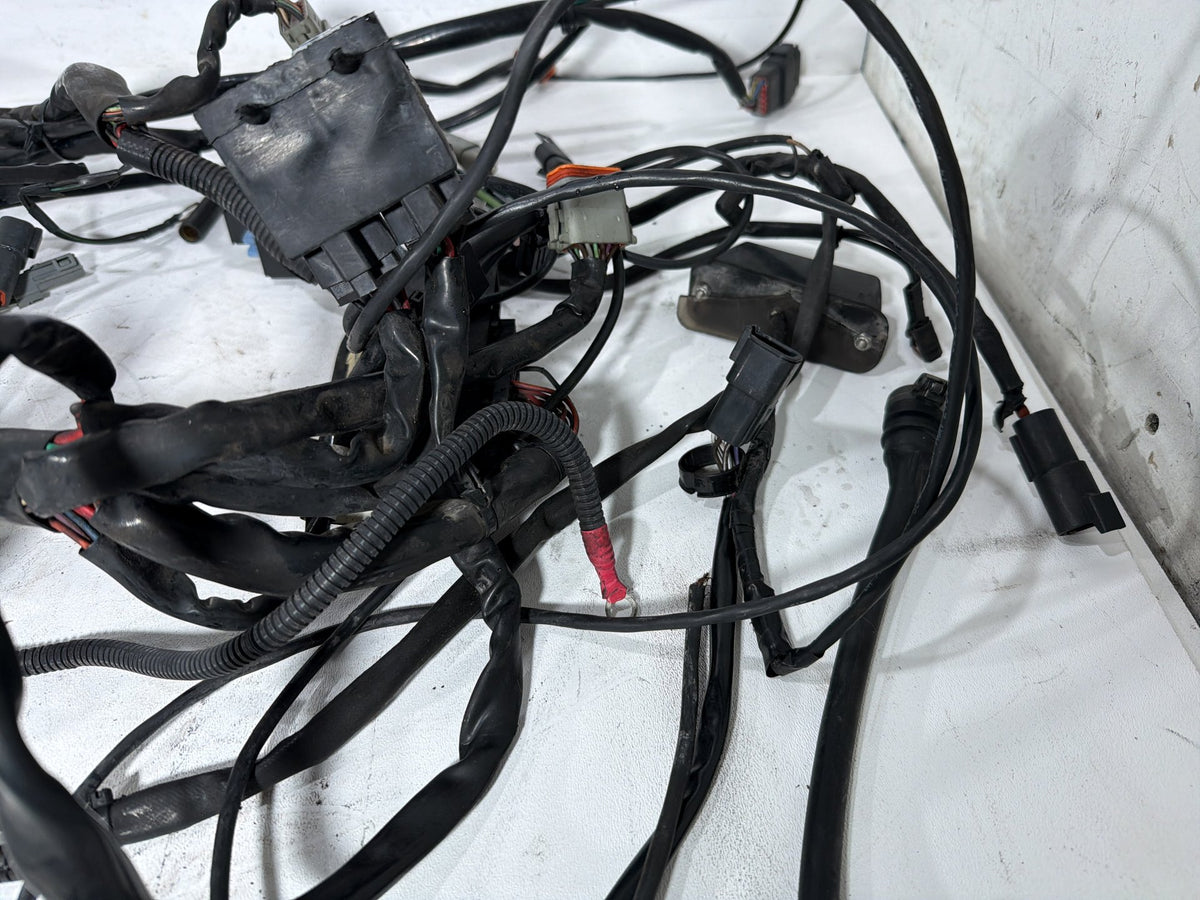 2004 Harley Electra Glide Touring Ultra OEM Main Wire Wiring Harness Loom