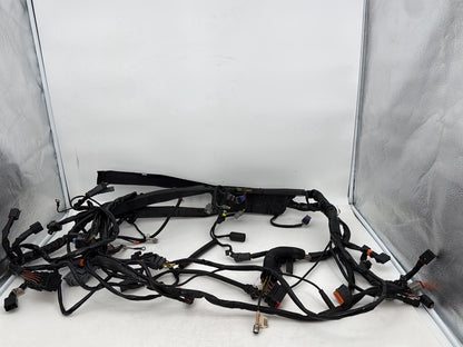 1999 - 2006 Harley-Davidson Touring Electra Glide Ultra Main Wire Wiring Harness Loom 71000-06
