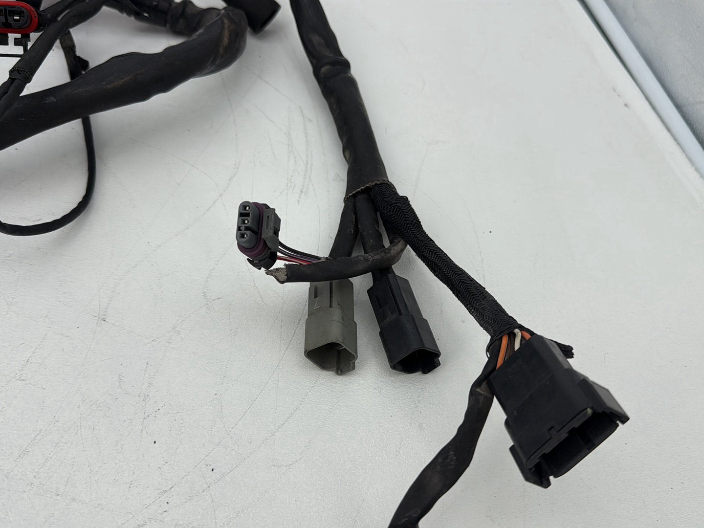 2004 - 2013 Harley-Davidson Sportster 1200 Custom Main Wire Wiring Harness Ignition Switch NOKey 70139-06