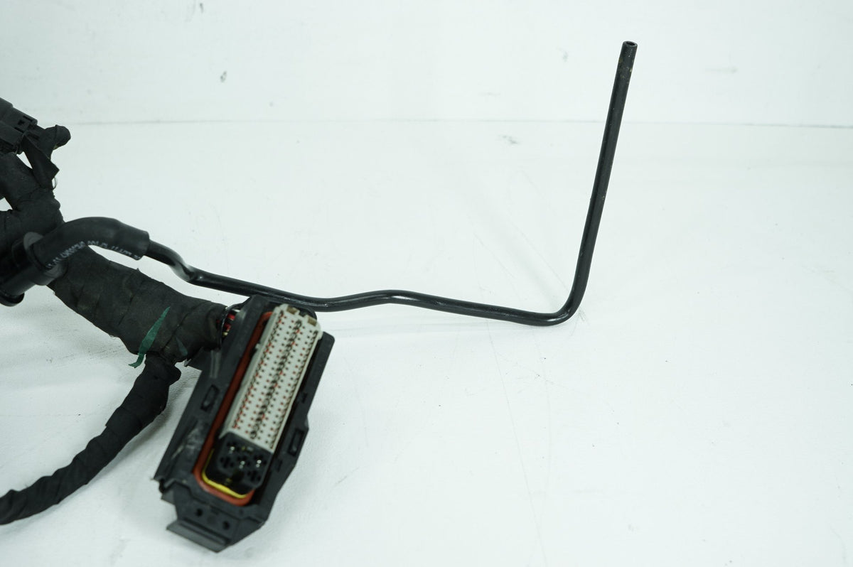 Main Wire Wiring Harness Loom, 69202197, 2024, Harley-Davidson, Softail, Standard, FXST
