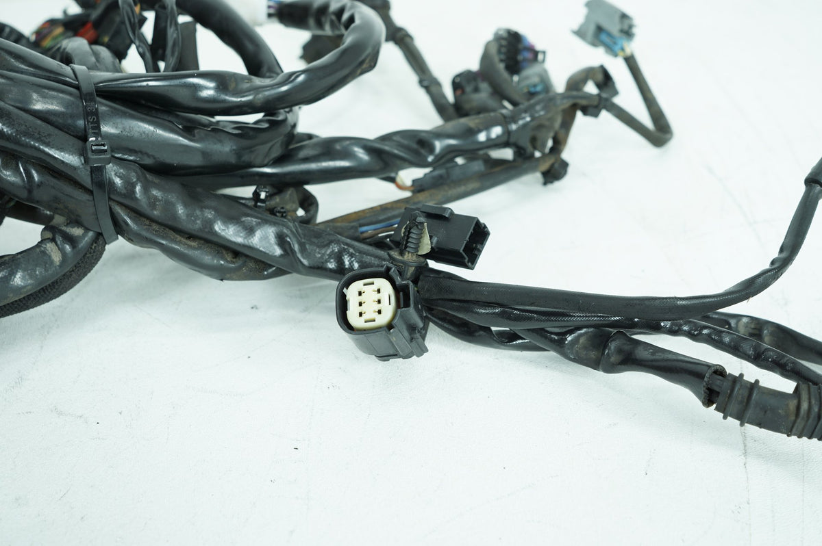 2008 Harley Dyna FXDWG 105th Wide Glide OEM Main Wire Wiring Harness Loom