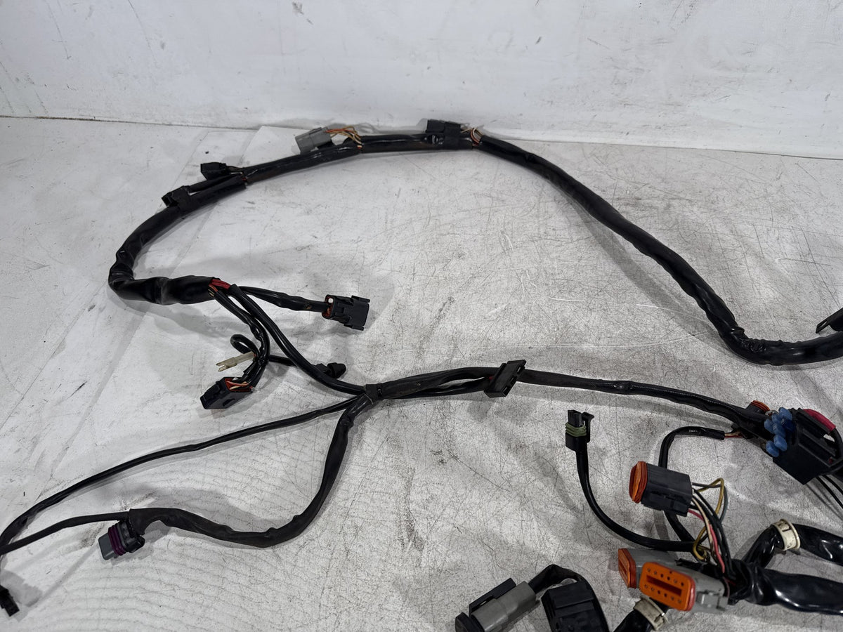2002 Harley Dyna Wide Glide FXDWG OEM Main Wire Wiring Harness Loom CARB