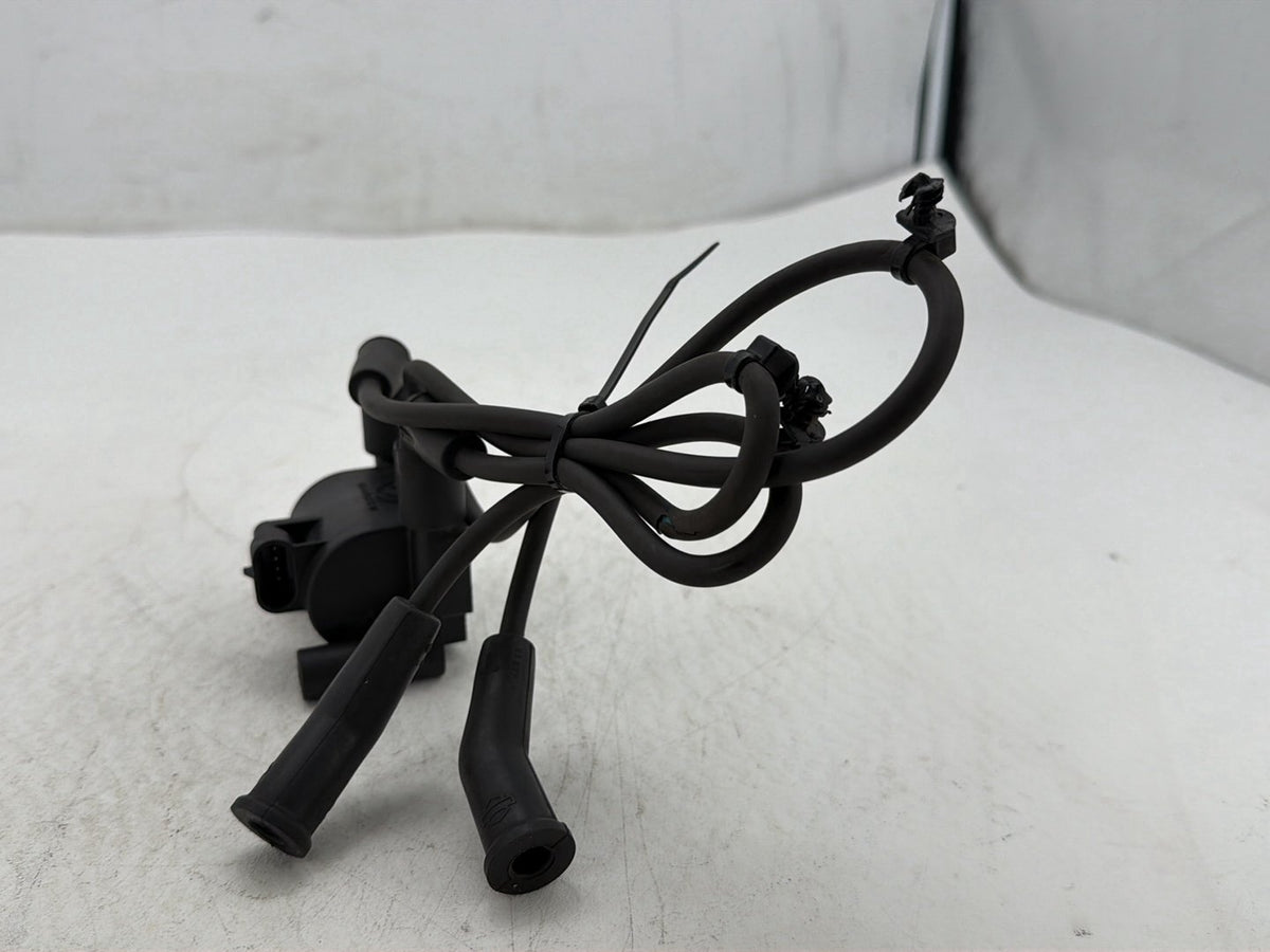 2013 Harley Street Glide Touring FLHX OEM Ignition Coil Spark Plugs Cable
