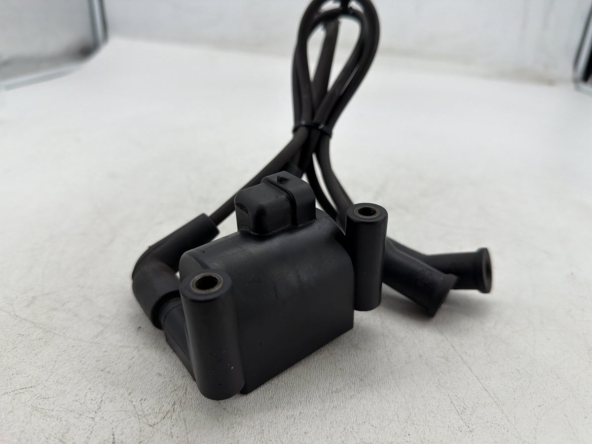 2011 Harley Road King Touring FLHR OEM Ignition Coil Spark Plugs Cable