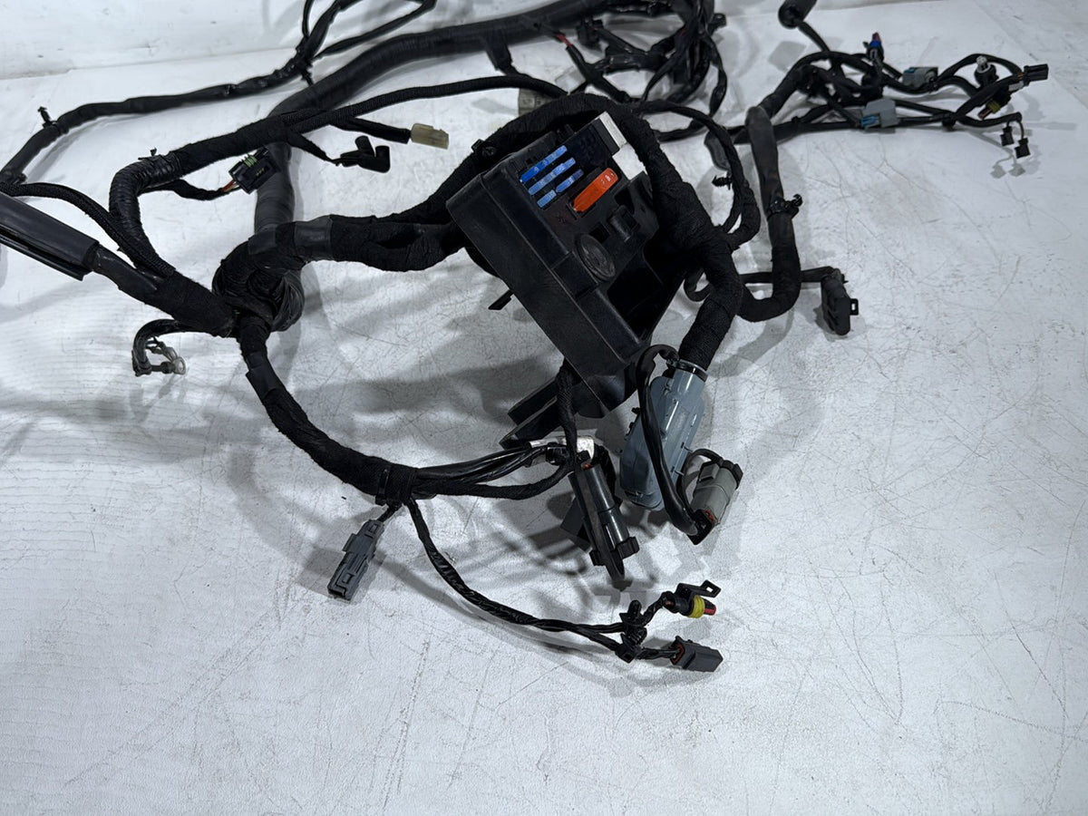 2009 Harley Dyna Street Bob FXDB OEM Main Wire Wiring Harness Loom