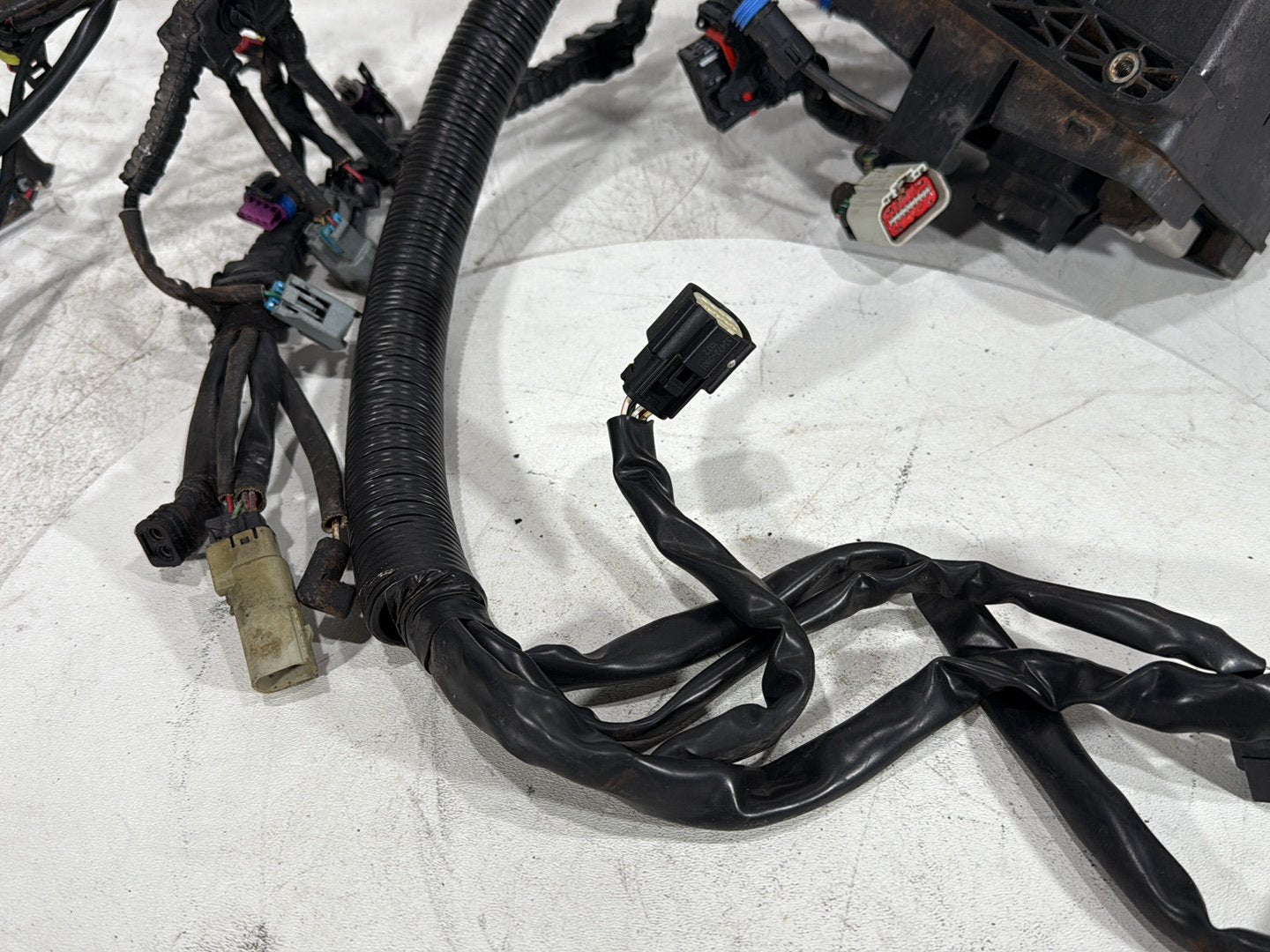 2012 Harley Dyna FXDF Fat Bob OEM Main Wire Wiring Harness Loom
