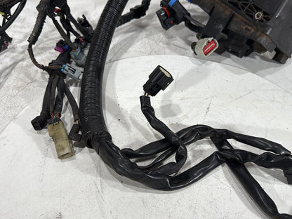 2012 Harley Dyna FXDF Fat Bob OEM Main Wire Wiring Harness Loom