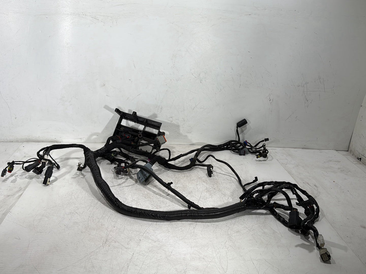 2009 Harley Dyna Street Bob FXDB OEM Main Wire Wiring Harness Loom