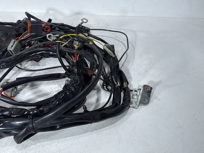 1999 - 2006 Harley-Davidson Touring Electra Glide Classic Main Wire Wiring Harness Loom  	70985-00