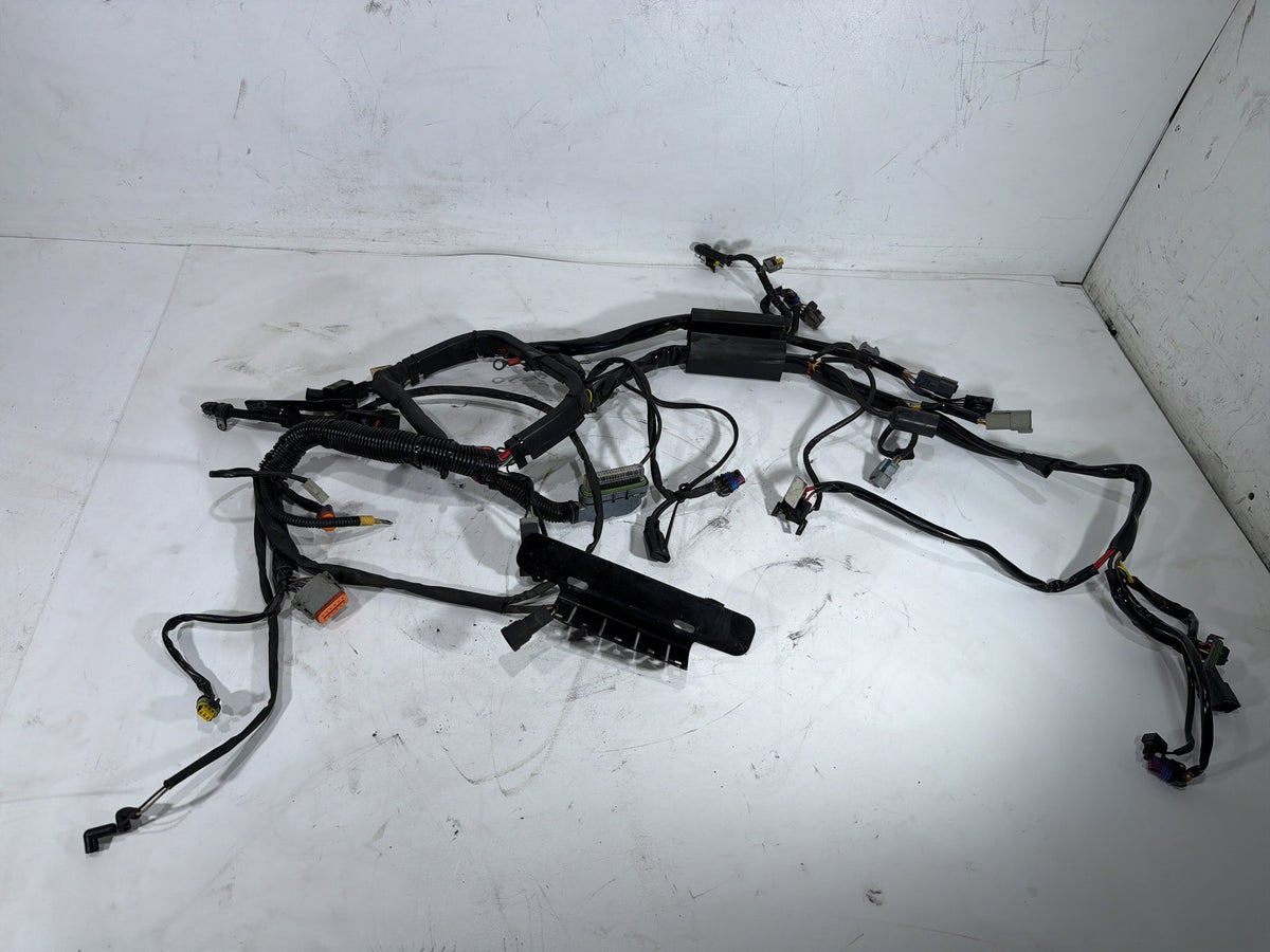 2006 Harley Softail Deuce FXSTDI OEM Main Wire Wiring Harness Loom EFI