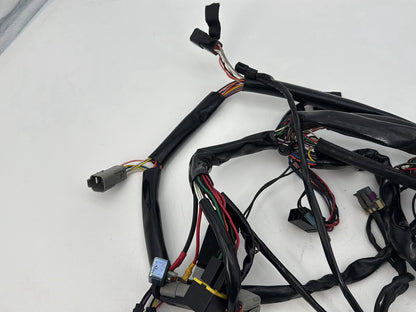 1999 - 2006 Harley-Davidson Dyna Low Rider Main Wire Wiring Harness Loom