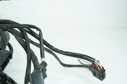 1999 - 2006 Harley-Davidson Touring Road King Police Main Wire Wiring Harness Loom 70245-99