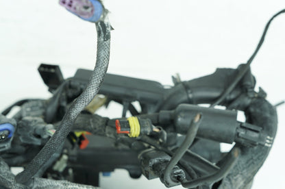 2004 - 2022 Harley-Davidson Sportster Custom Anniversary Main Wire Wiring Harness Loom 70181-08