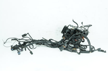 1999 - 2006 Harley-Davidson Dyna Low Rider Main Wire Wiring Harness Loom 69602-04A