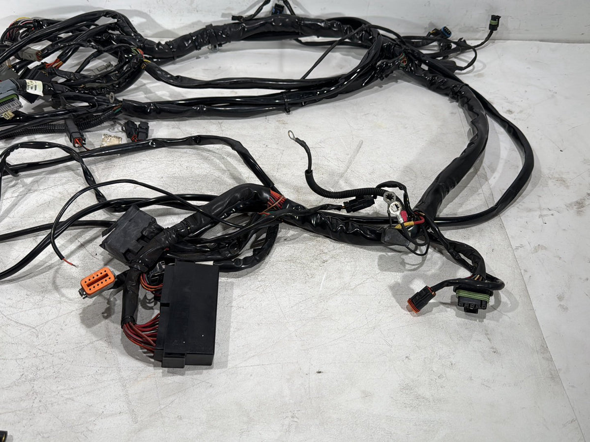 2003 Harley Electra Glide Touring Ultra OEM Main Wire Wiring Harness Loom
