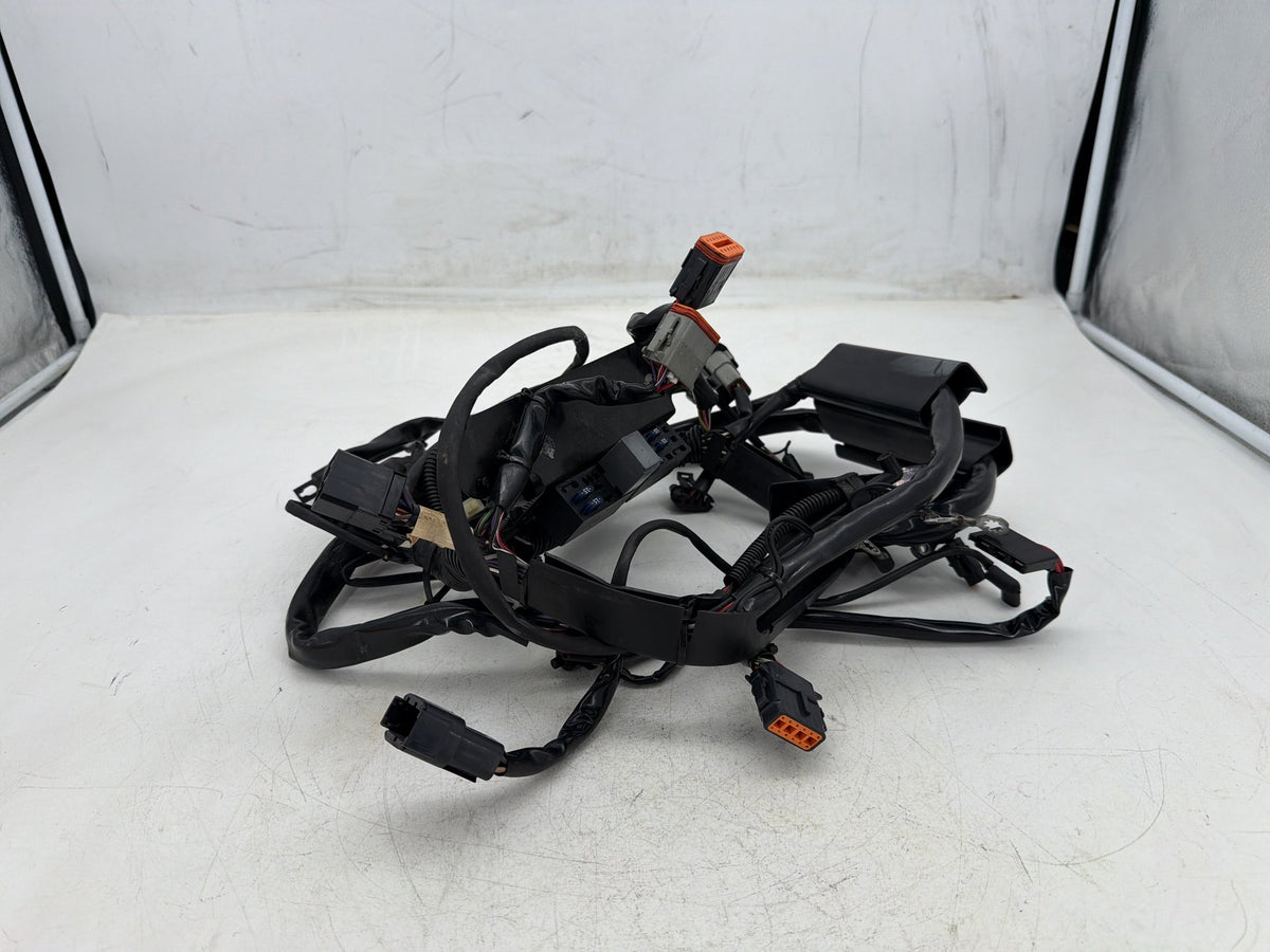 2001 Harley Softail Deuce FXSTD OEM Main Wire Wiring Harness Loom CARB