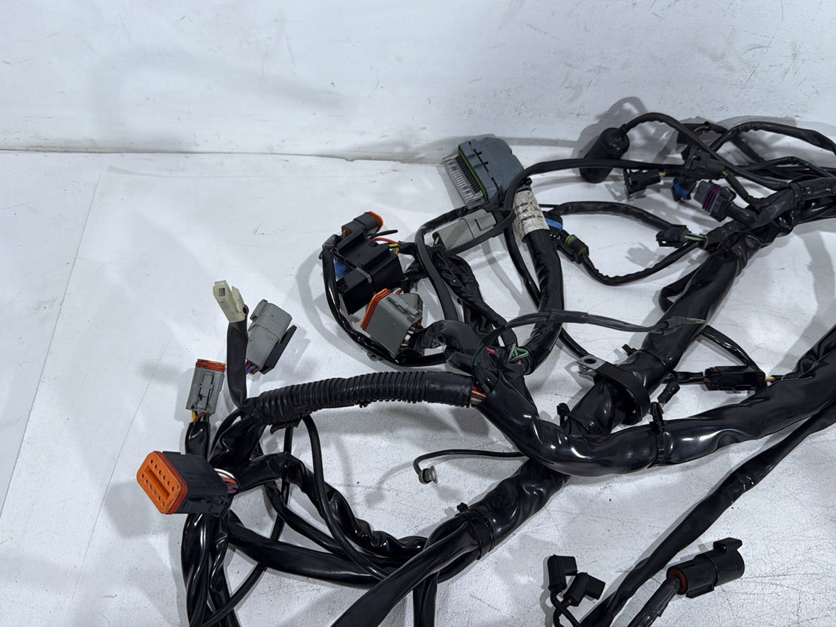 2005 Harley Electra Glide Touring FLHTI OEM Main Wire Wiring Harness Loom