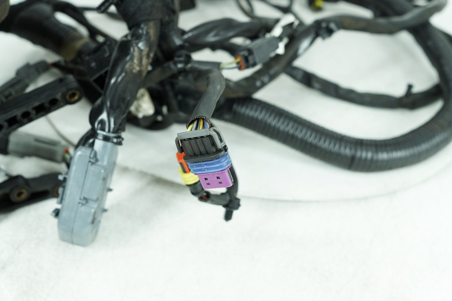 1999 - 2006 Harley-Davidson Dyna Super Glide Main Wire Wiring Harness Loom 69602-06