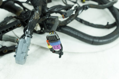 1999 - 2006 Harley-Davidson Dyna Super Glide Main Wire Wiring Harness Loom 69602-06
