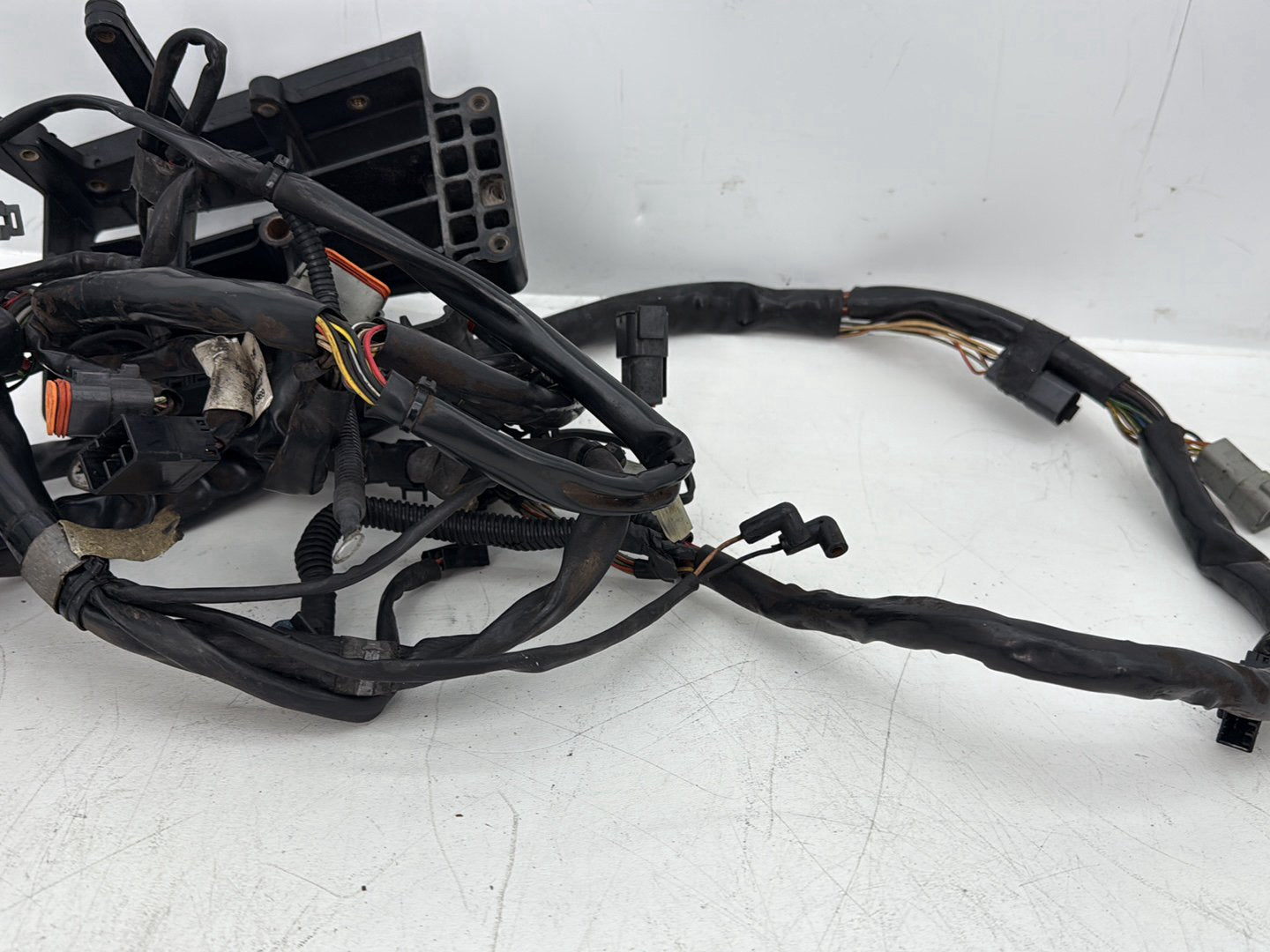 2005 Harley Dyna FXDWG Wide Glide OEM Main Wire Wiring Harness Loom