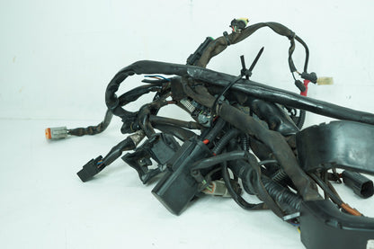 2007 - 2012 Harley-Davidson Touring Electra Glide Classic Main Wire Wiring Harness Loom 70985-07